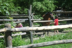 beimReitstall